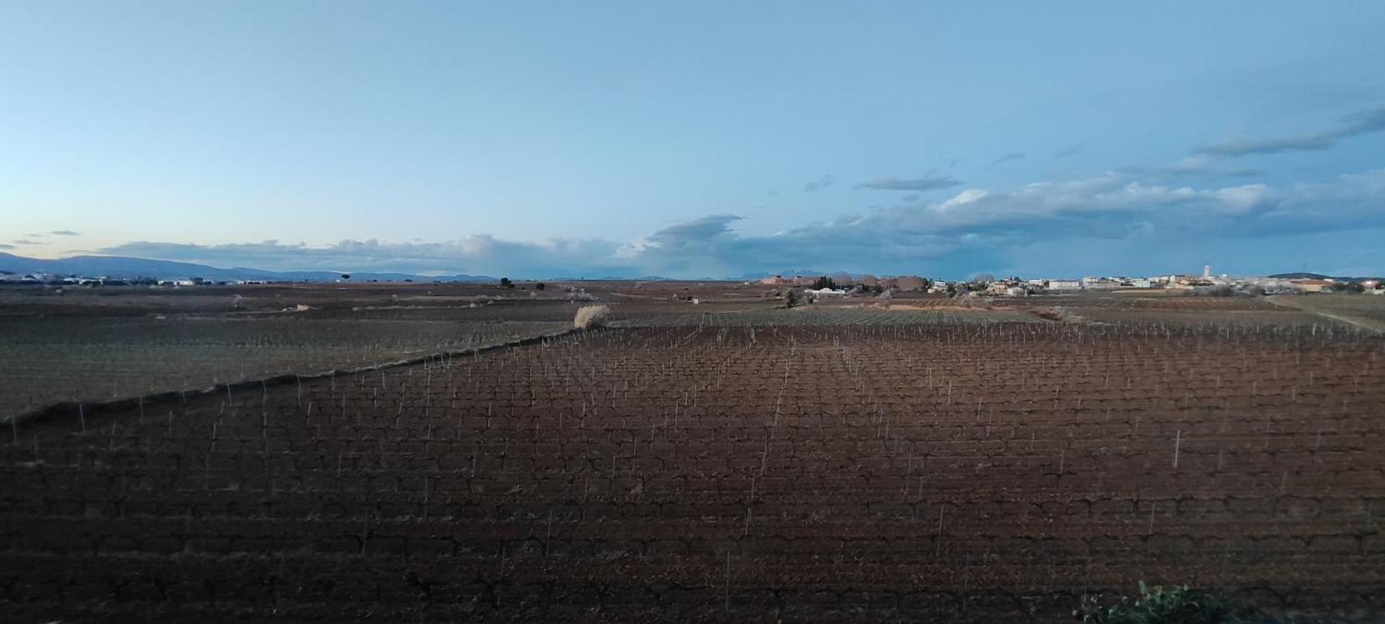 Cal Llop Villa Sant Cugat de Sesgarrigues Eksteriør billede